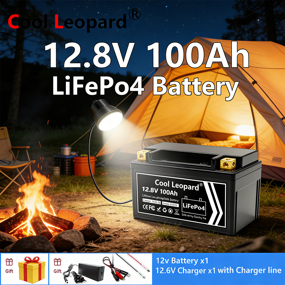 Lightweight 12V 100Ah LiFePO4  - Fish Finder Charger 评论和价格